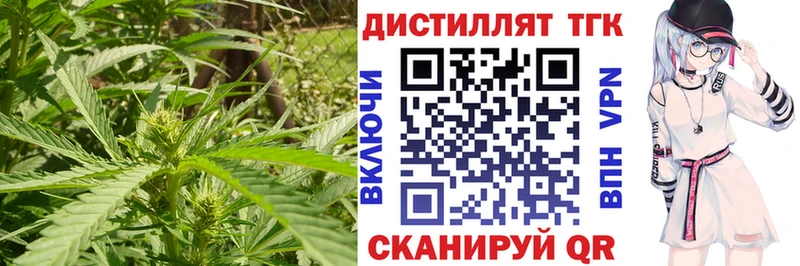 Дистиллят ТГК THC oil  Купить где  Макаров 