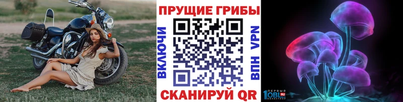 Купить  Макаров  Галлюциногенные грибы Psilocybine cubensis 